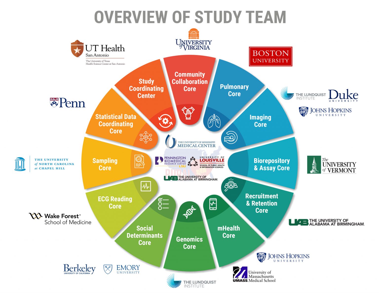 overview of study team