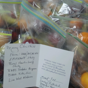 ziplock bags filled with fruit