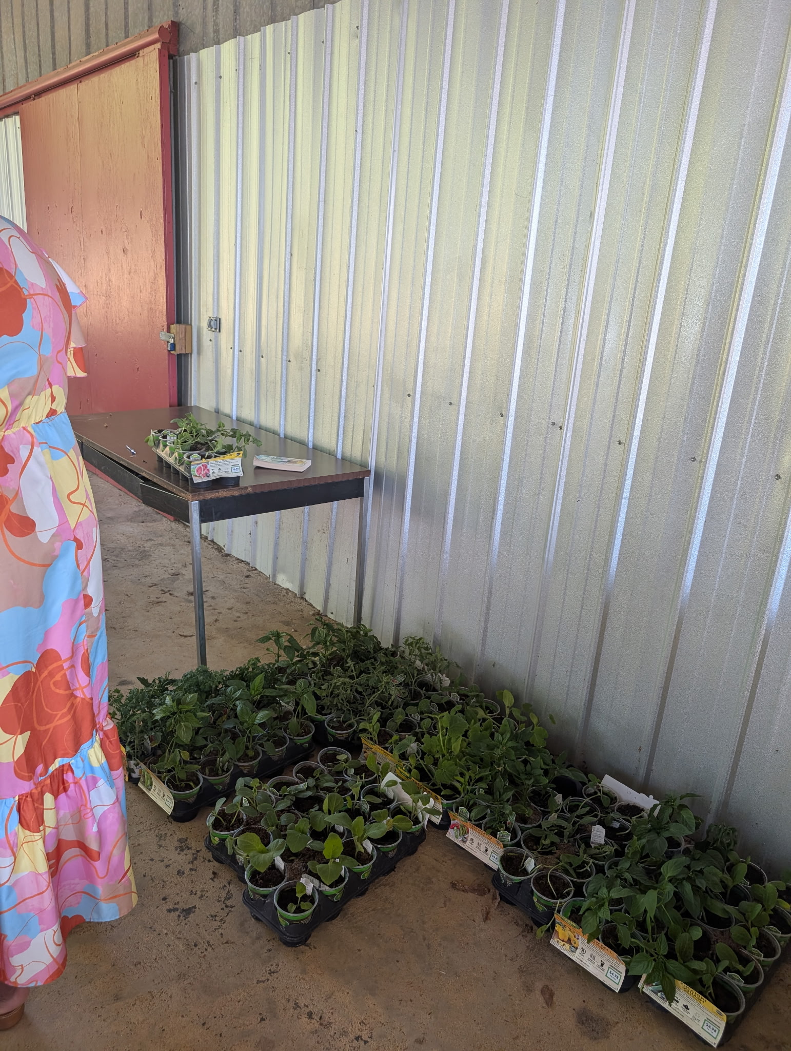 vegetables for garden
